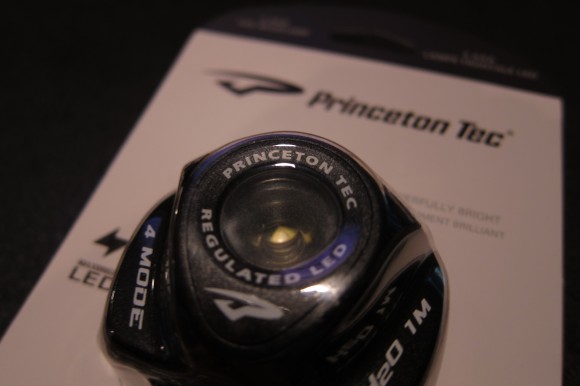 IMG_1000 IMG_1000