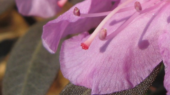 spring28-1160x652